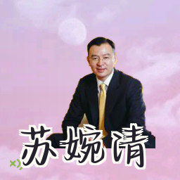 苏婉清